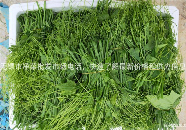 无锡市净菜批发市场电话，快速了解最新价格和供应信息