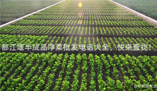 都江堰半成品净菜批发电话大全，快来查找！