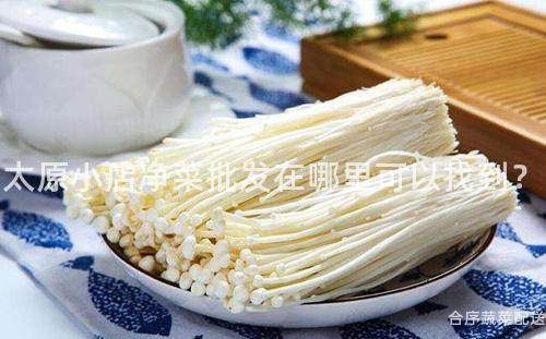 太原小店净菜批发在哪里可以找到？