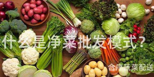 什么是净菜批发模式？