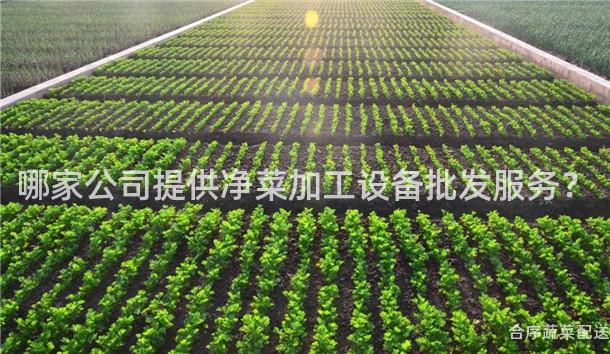哪家公司提供净菜加工设备批发服务？