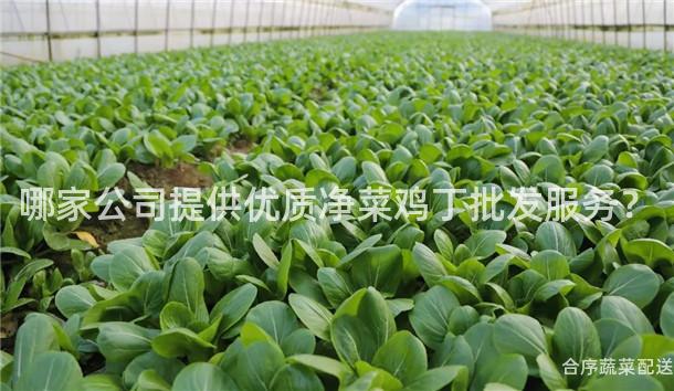 哪家公司提供优质净菜鸡丁批发服务？