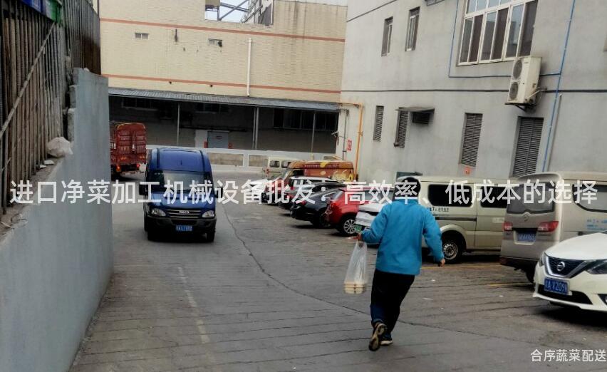 进口净菜加工机械设备批发：高效率、低成本的选择