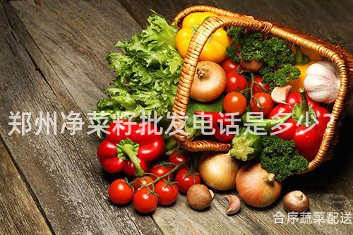 郑州净菜籽批发电话是多少？