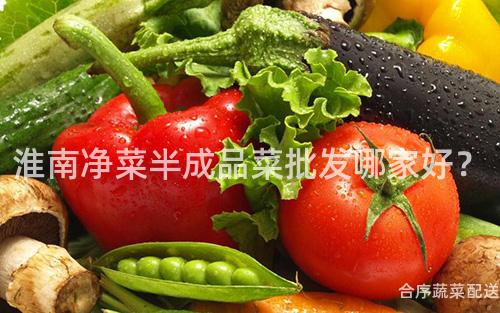 淮南净菜半成品菜批发哪家好？
