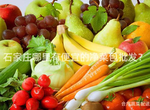 石家庄哪里有便宜的净菜包批发？