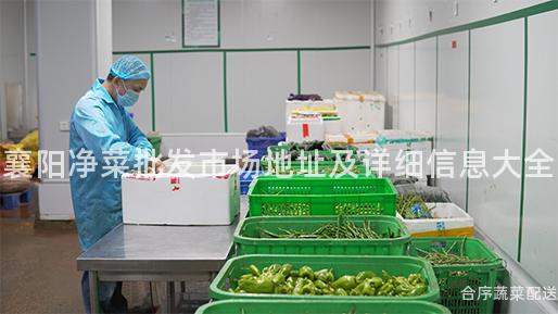 襄阳净菜批发市场地址及详细信息大全