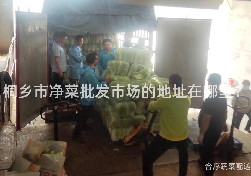 桐乡市净菜批发市场的地址在哪里？