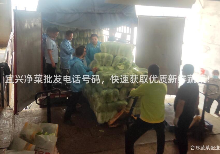 宜兴净菜批发电话号码，快速获取优质新鲜蔬菜！