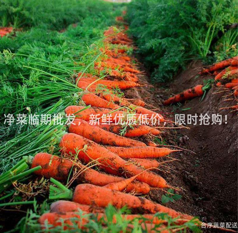 净菜临期批发，新鲜优质低价，限时抢购！