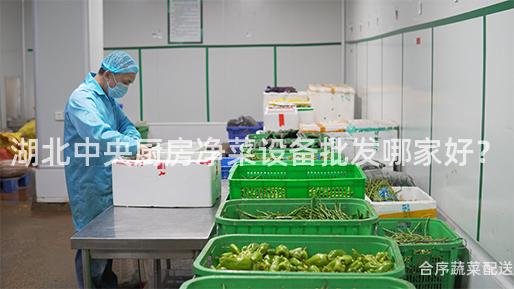 湖北中央厨房净菜设备批发哪家好？