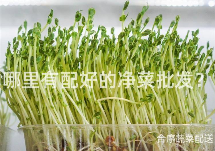 哪里有配好的净菜批发？