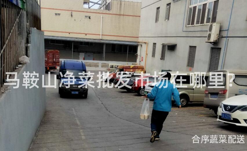 马鞍山净菜批发市场在哪里？