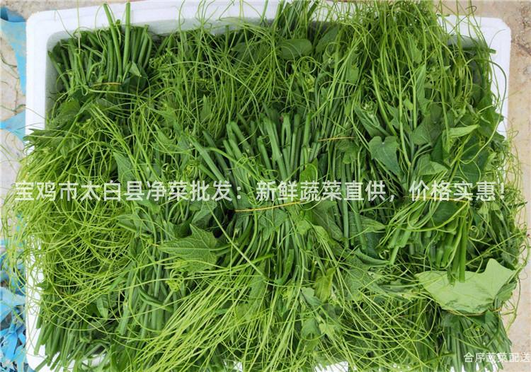 宝鸡市太白县净菜批发：新鲜蔬菜直供，价格实惠！