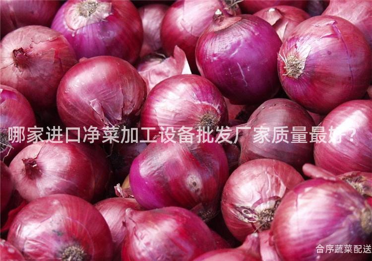 哪家进口净菜加工设备批发厂家质量最好？
