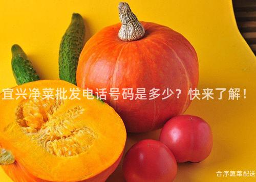 宜兴净菜批发电话号码是多少？快来了解！
