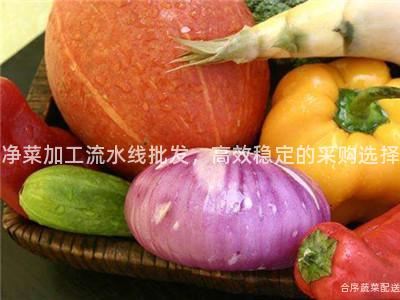 净菜加工流水线批发，高效稳定的采购选择