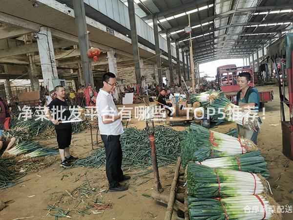 净菜批发平台有哪些？TOP5推荐！