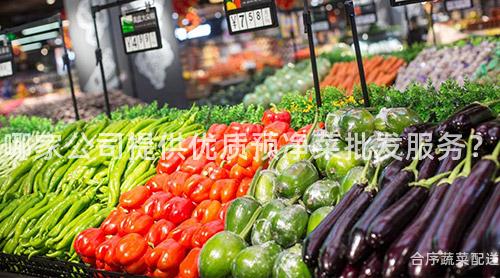 哪家公司提供优质预净菜批发服务？