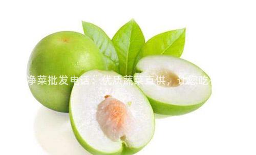 宜兴净菜批发电话：优质蔬菜直供，让您吃得放心！