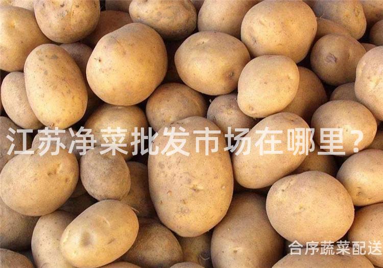 江苏净菜批发市场在哪里？