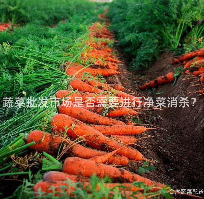 蔬菜批发市场是否需要进行净菜消杀？