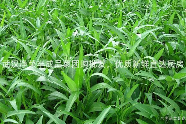 武汉净菜半成品菜团购批发，优质新鲜直达厨房