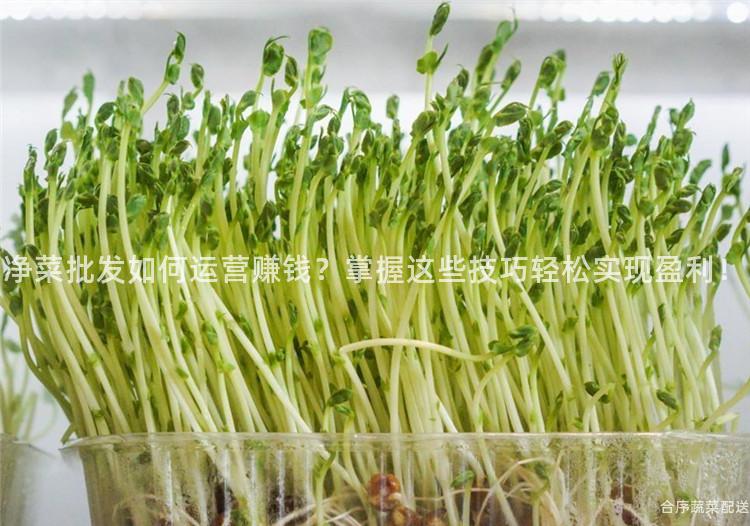 净菜批发如何运营赚钱？掌握这些技巧轻松实现盈利！