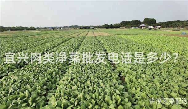 宜兴肉类净菜批发电话是多少？