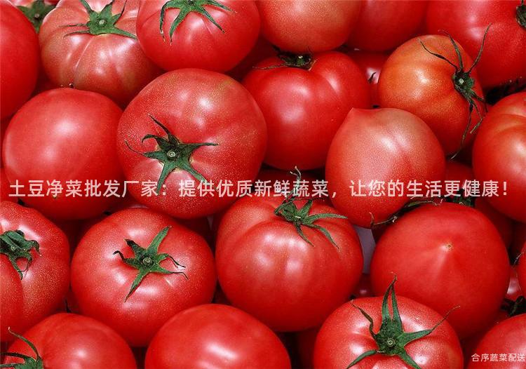 土豆净菜批发厂家：提供优质新鲜蔬菜，让您的生活更健康！