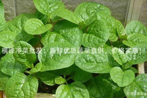 横峰净菜批发：新鲜优质蔬菜直供，价格实惠！