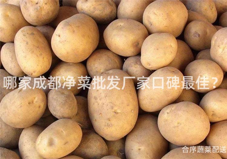 哪家成都净菜批发厂家口碑最佳？