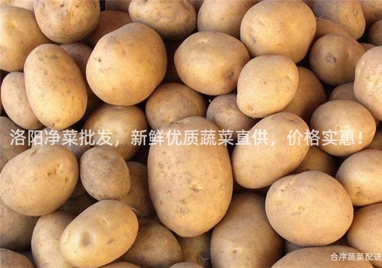 洛阳净菜批发，新鲜优质蔬菜直供，价格实惠！