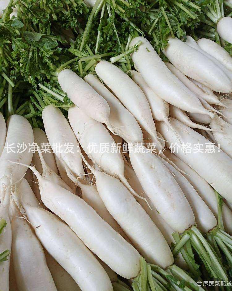 长沙净菜批发：优质新鲜蔬菜，价格实惠！