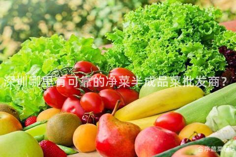 深圳哪里有可靠的净菜半成品菜批发商？