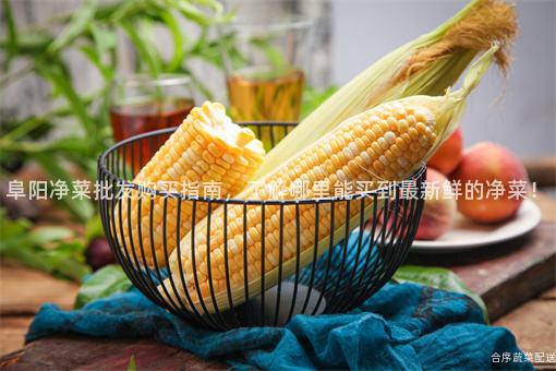 阜阳净菜批发购买指南，了解哪里能买到最新鲜的净菜！