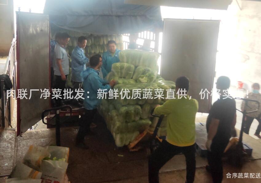 肉联厂净菜批发：新鲜优质蔬菜直供，价格实惠！