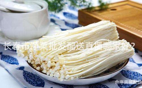 长春市净菜批发配送直播哪家好？