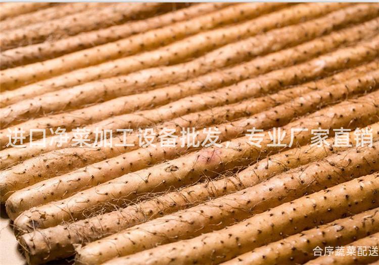 进口净菜加工设备批发，专业厂家直销