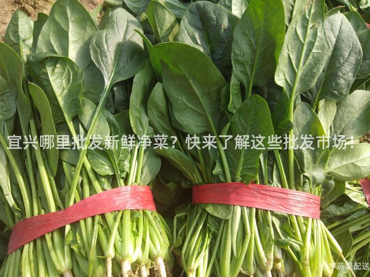 宜兴哪里批发新鲜净菜？快来了解这些批发市场！