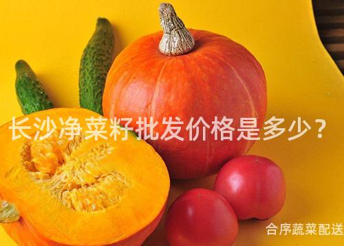 长沙净菜籽批发价格是多少？