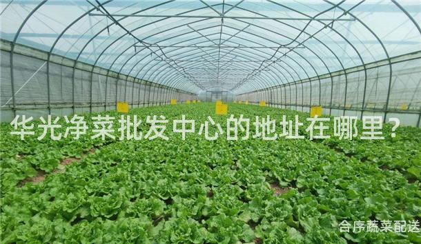 华光净菜批发中心的地址在哪里？