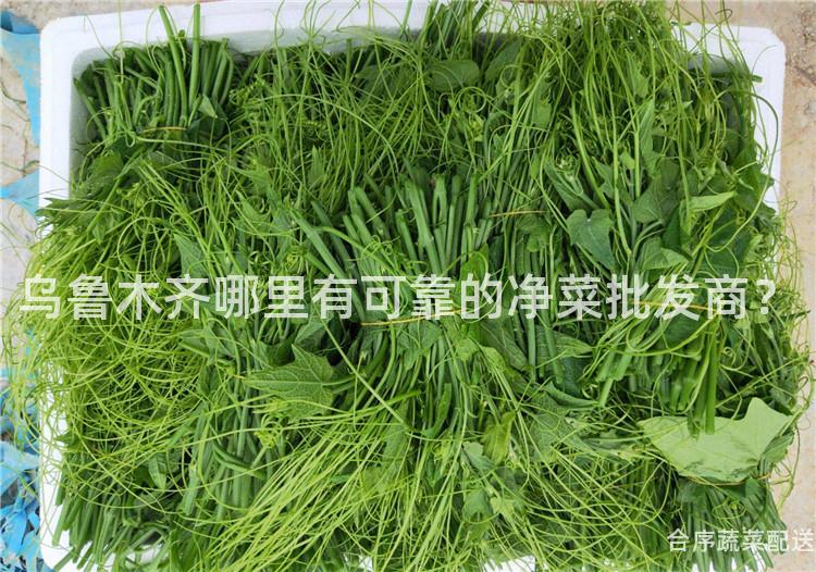 乌鲁木齐哪里有可靠的净菜批发商？