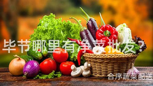 毕节哪里有净菜批发？