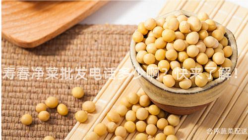 寿春净菜批发电话多少啊？快来了解！