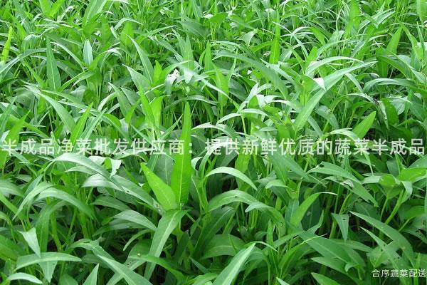 半成品净菜批发供应商：提供新鲜优质的蔬菜半成品