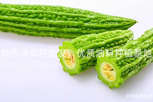 黔西净菜籽批发，优质油料种植基地