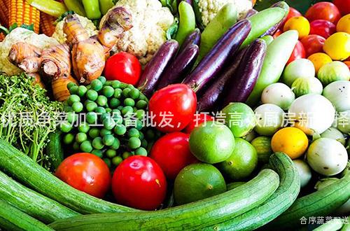 优质净菜加工设备批发，打造高效厨房新选择
