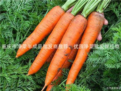重庆市净菜半成品批发商推荐，优质净菜批发供应商