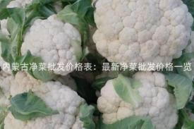 内蒙古净菜批发价格表：最新净菜批发价格一览